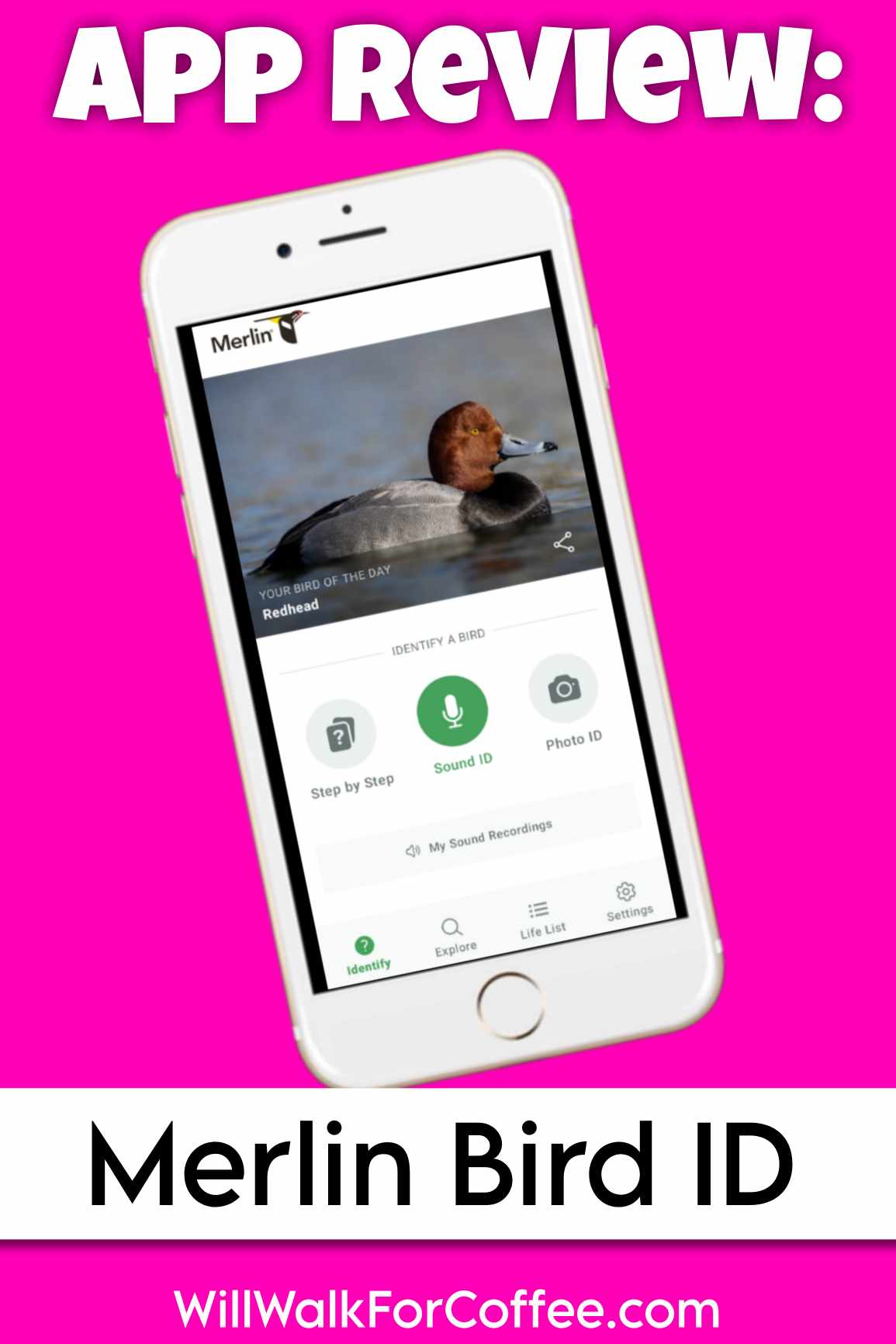 App Review: Merlin Bird ID – Will Walk for Coffee